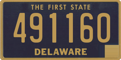 DE license plate 491160