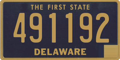 DE license plate 491192