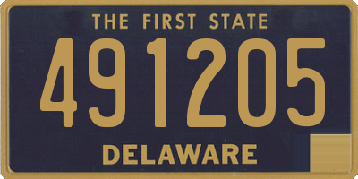 DE license plate 491205
