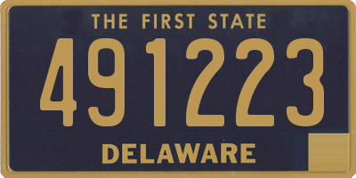 DE license plate 491223