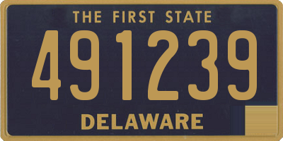 DE license plate 491239