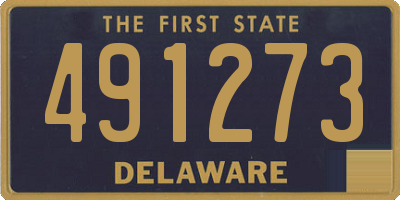 DE license plate 491273