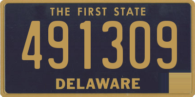 DE license plate 491309