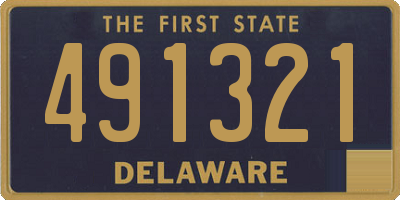 DE license plate 491321