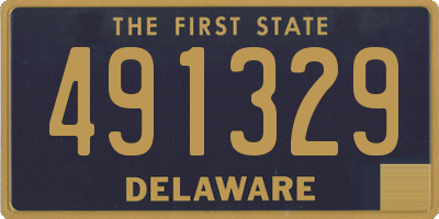DE license plate 491329