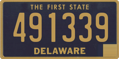 DE license plate 491339