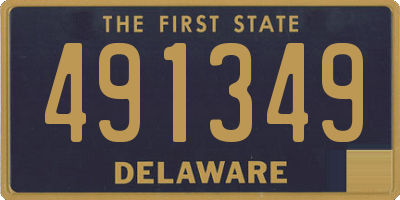 DE license plate 491349