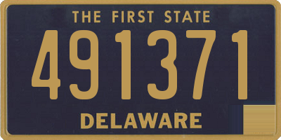 DE license plate 491371