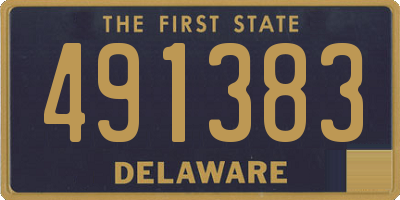 DE license plate 491383