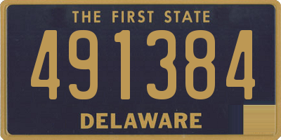 DE license plate 491384