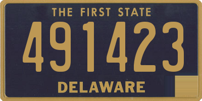 DE license plate 491423