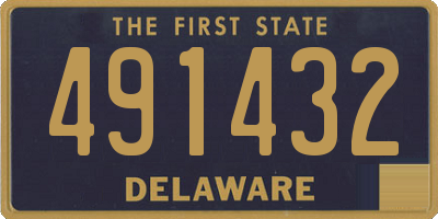 DE license plate 491432