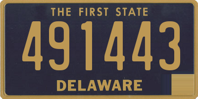 DE license plate 491443