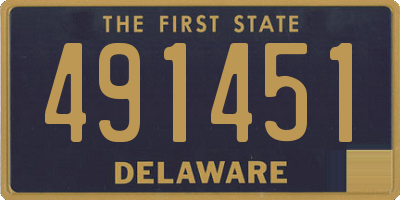 DE license plate 491451