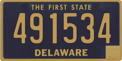 DE license plate 491534