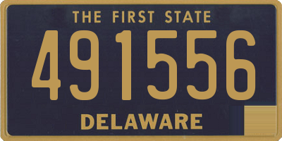 DE license plate 491556