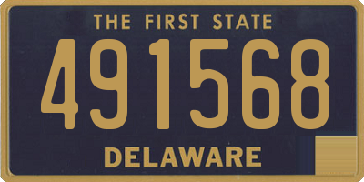DE license plate 491568