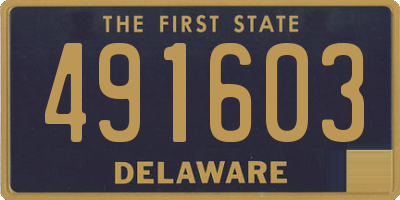 DE license plate 491603