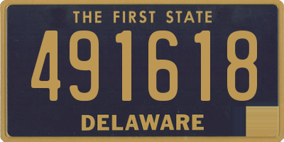 DE license plate 491618