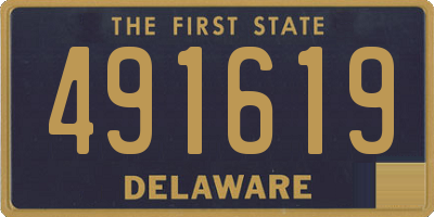 DE license plate 491619
