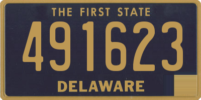 DE license plate 491623