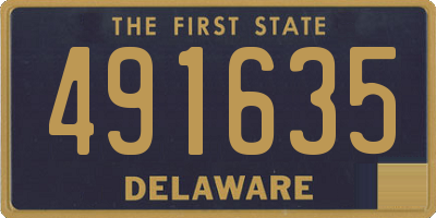 DE license plate 491635