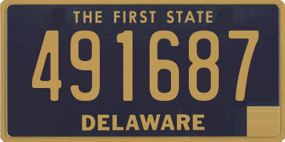 DE license plate 491687