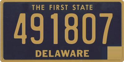 DE license plate 491807