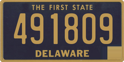 DE license plate 491809