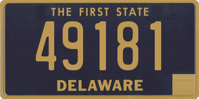 DE license plate 49181