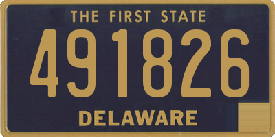 DE license plate 491826