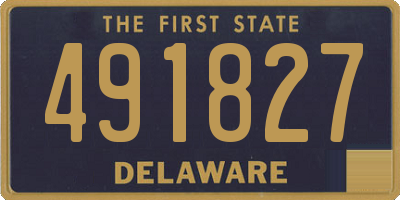 DE license plate 491827