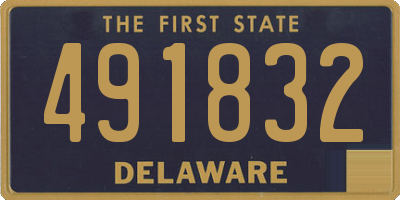 DE license plate 491832