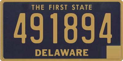 DE license plate 491894