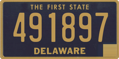 DE license plate 491897