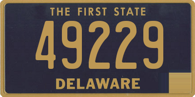 DE license plate 49229