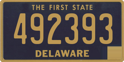DE license plate 492393