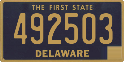 DE license plate 492503