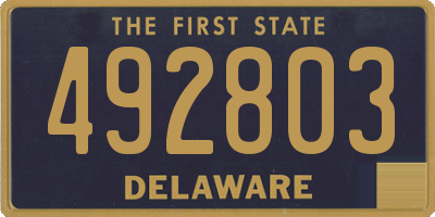 DE license plate 492803