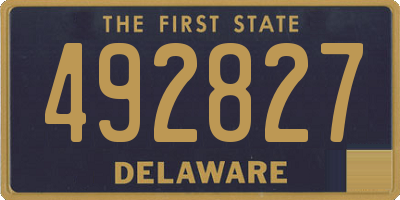 DE license plate 492827