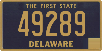 DE license plate 49289