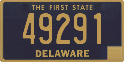 DE license plate 49291