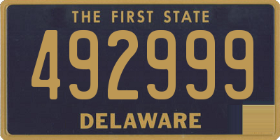 DE license plate 492999