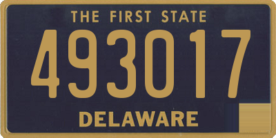 DE license plate 493017