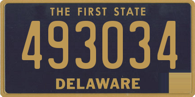 DE license plate 493034