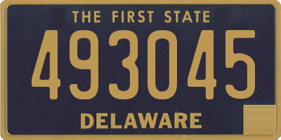 DE license plate 493045