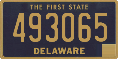 DE license plate 493065