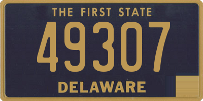DE license plate 49307