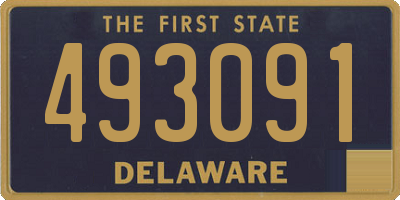 DE license plate 493091