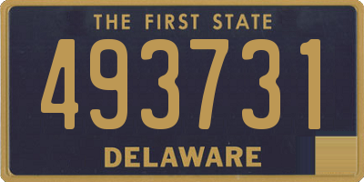 DE license plate 493731